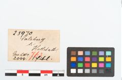 Etikett zu Bronzefibel (NHMW-PRAE-025970)